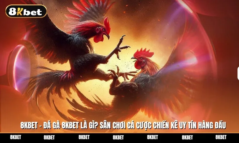 Đá gà 8kbet là gì? Sân chơi cá cược chiến kê uy tín hàng đầu