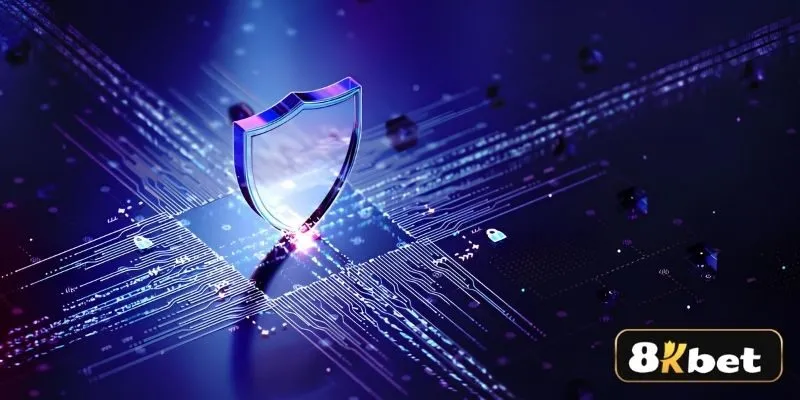 Dữ liệu mà nhà cái thu thập từ bạn có những gì?