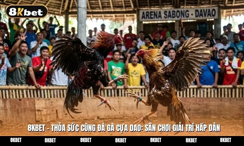 Khám phá trò chơi giải trí hấp dẫn đá gà cựa do